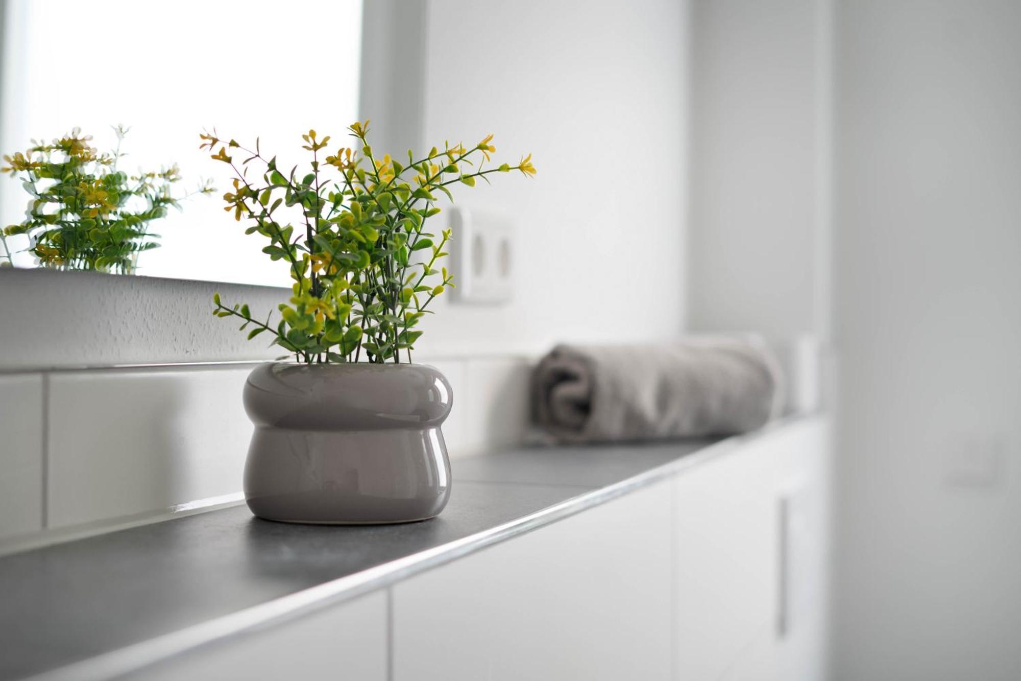 Schoene Apartments In Lengerich I Home2Share Esterno foto